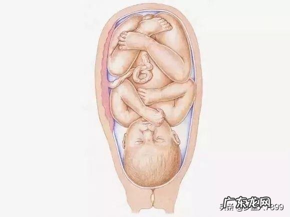 女模特身高体重多少 身高183的女模特,她的体重应该达到多少那?