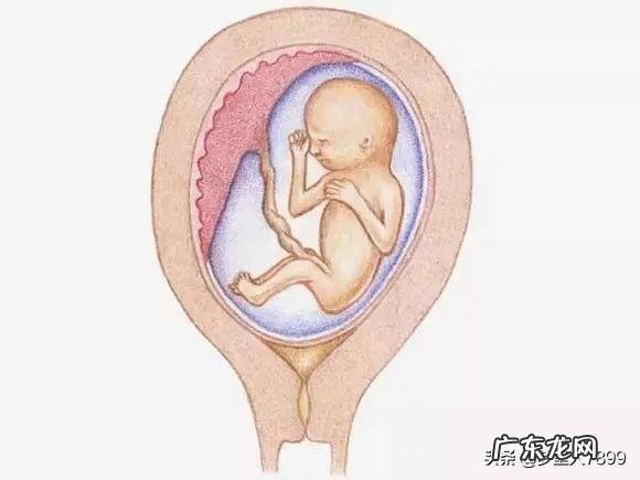 女模特身高体重多少 身高183的女模特,她的体重应该达到多少那?