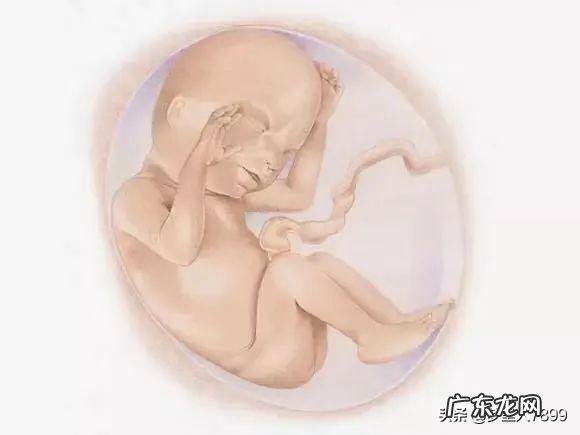 女模特身高体重多少 身高183的女模特,她的体重应该达到多少那?