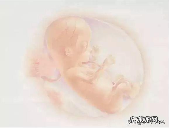 女模特身高体重多少 身高183的女模特,她的体重应该达到多少那?