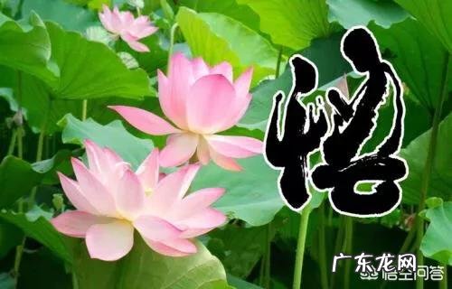 销售如何快速提升销售水平?