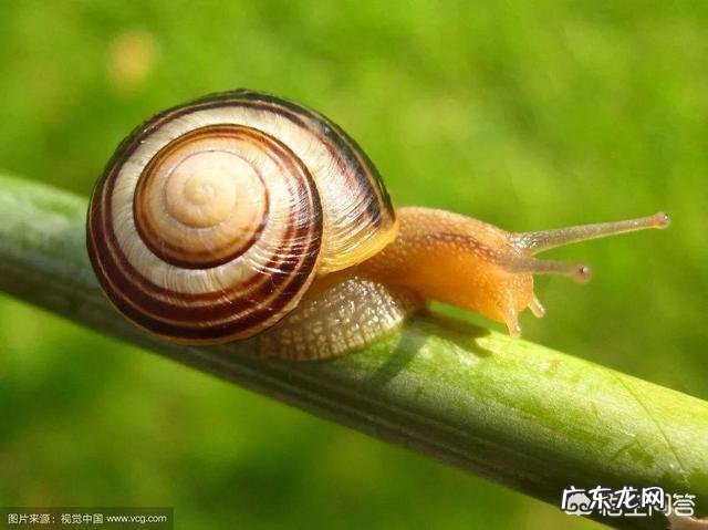 销售如何快速提升销售水平?