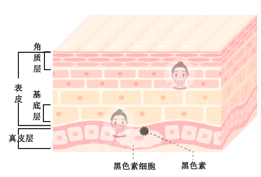 有哪些价格良心且美白淡斑效果好的产品推荐?