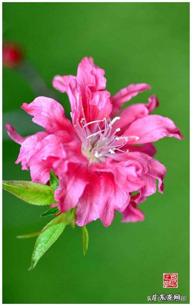 taiwan歌手刘文正今何在?现状如何?