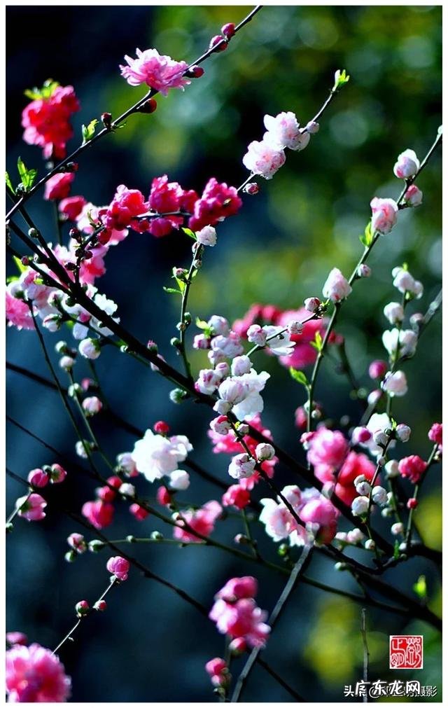 taiwan歌手刘文正今何在?现状如何?