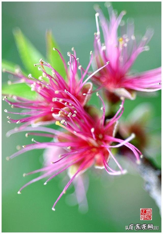 taiwan歌手刘文正今何在?现状如何?