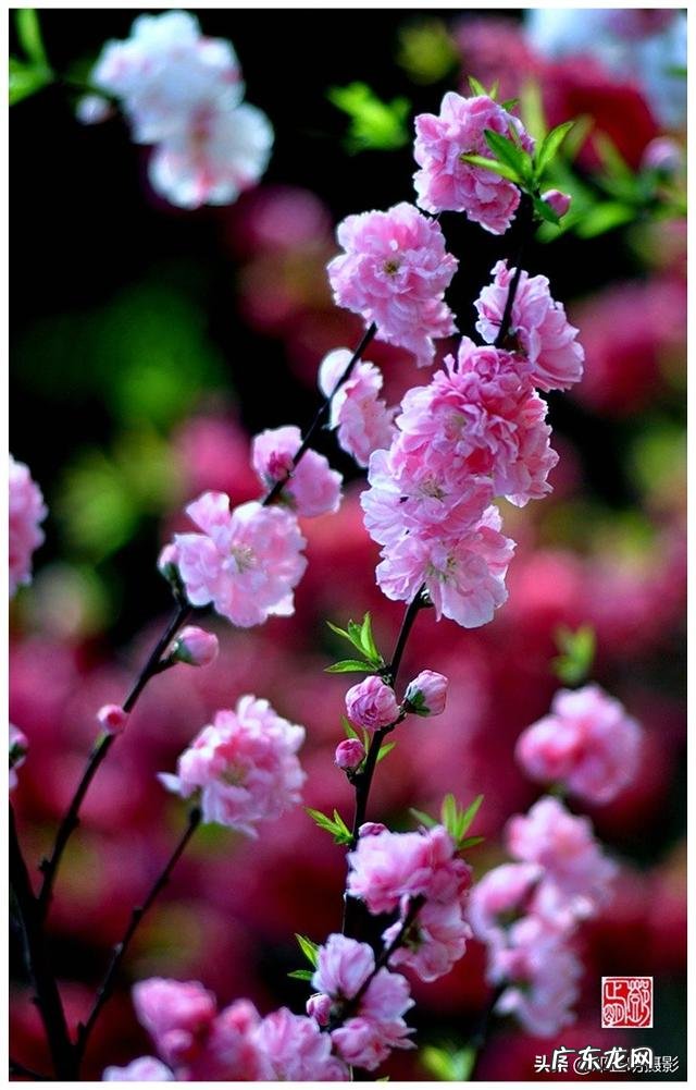 taiwan歌手刘文正今何在?现状如何?