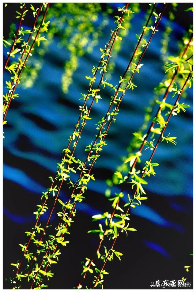 taiwan歌手刘文正今何在?现状如何?