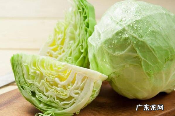 冬季适合吃的蔬菜有哪些 冬天适合吃的10种蔬菜