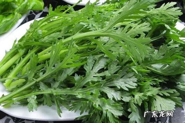 冬季适合吃的蔬菜有哪些 冬天适合吃的10种蔬菜