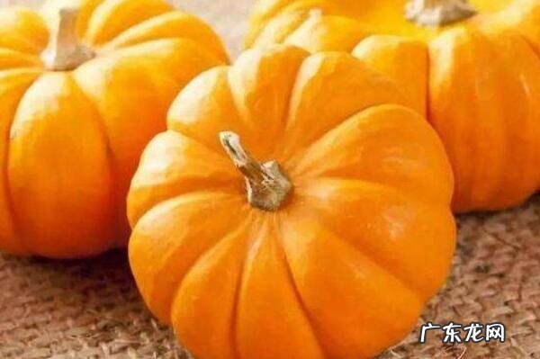 冬季适合吃的蔬菜有哪些 冬天适合吃的10种蔬菜