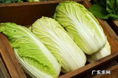 冬季适合吃的蔬菜有哪些 十大冬季时令蔬菜