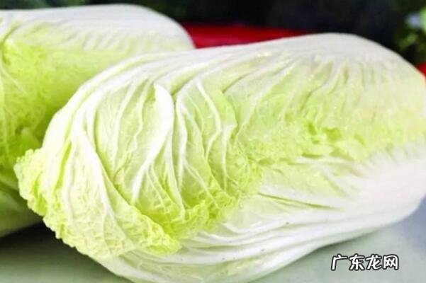 十大饱腹感低热量食物 十大常见低热量蔬菜