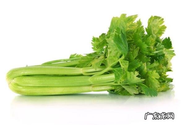 十大饱腹感低热量食物 十大常见低热量蔬菜