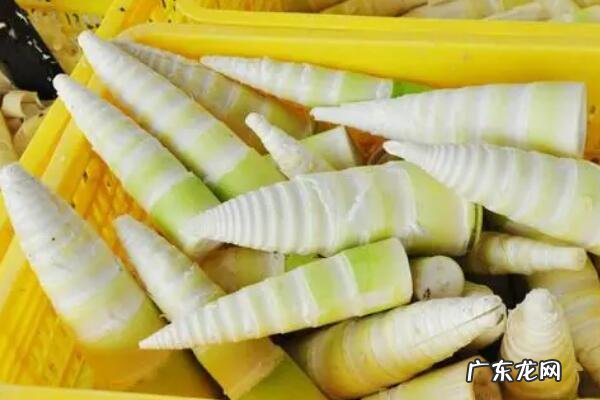 十大饱腹感低热量食物 十大常见低热量蔬菜