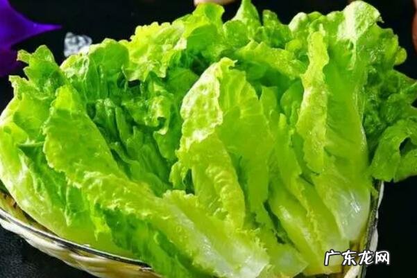 十大饱腹感低热量食物 十大常见低热量蔬菜