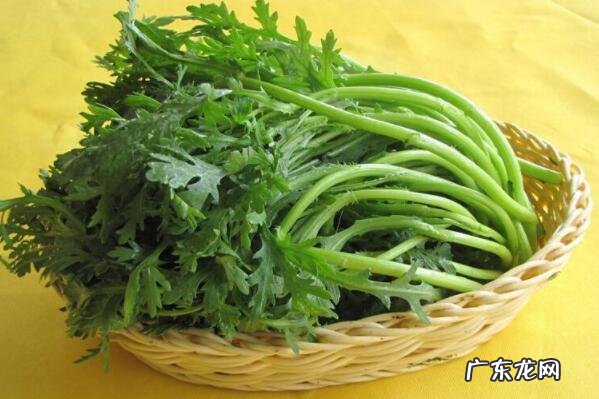 秋天有什么水果成熟了十种 适合秋天种植的十种蔬菜