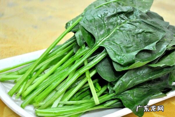 秋天有什么水果成熟了十种 适合秋天种植的十种蔬菜