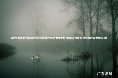 有哪些好玩的电脑单机,电脑上有什么好玩的大型单机游戏 pc单机游戏排行榜大全