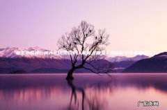 类似于，雨魔《兽王》的精彩小说有哪些? 兽王小说排行榜大全0