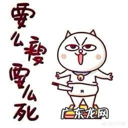 为什么会有水桶腰？要怎么减水桶腰？