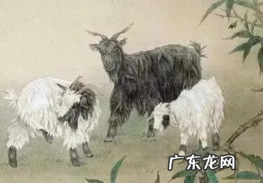 十二生肖哪个最会有钱 十二生肖突然变有钱人会有哪些表现?