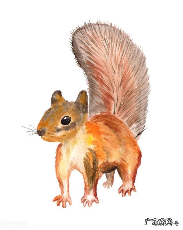 十二生肖哪个最会有钱 十二生肖突然变有钱人会有哪些表现?