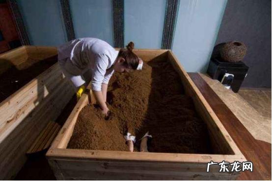 coq10是什么做的 谁知道日本进口畅销食品hs coq10是什么?