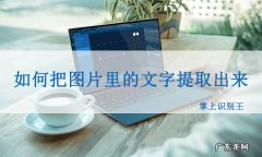 掌上识别王如何把图片里的文字提取出来？