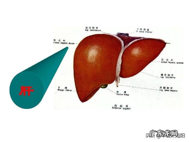 《西游记》里的黄眉怪敢冒充如来佛祖,是如来指使的吗?