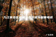 九江柴桑区新洲场春节返乡报备电话