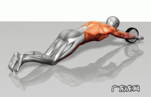 165身高,56g体重,想减小腹脂肪,去健身房该做哪些器械?