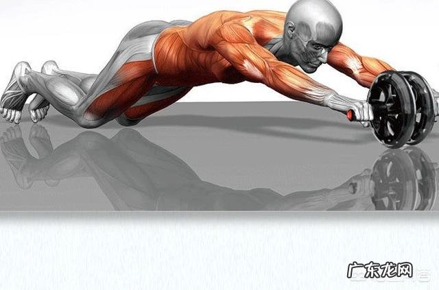 165身高,56g体重,想减小腹脂肪,去健身房该做哪些器械?