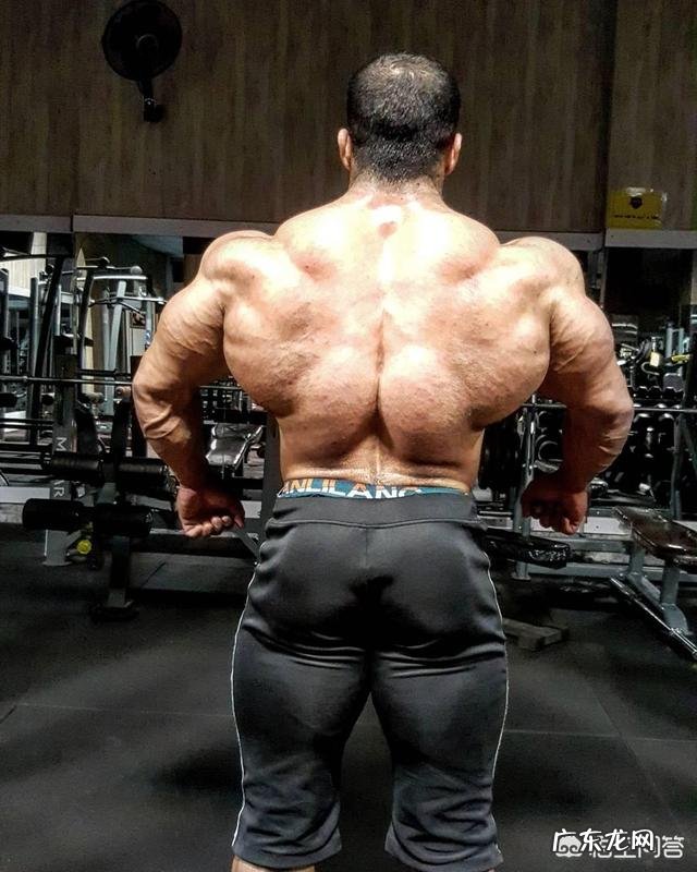 如何在短时间内迅速提高自己的体能做十几个引体上向?