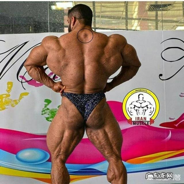 如何在短时间内迅速提高自己的体能做十几个引体上向?