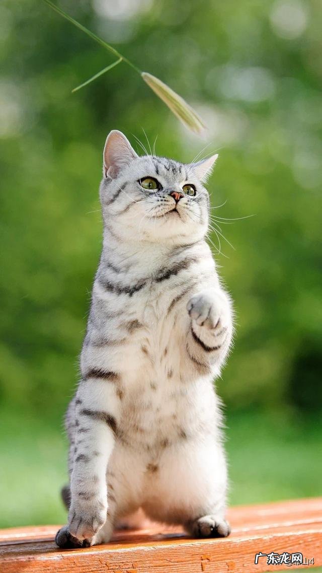 现代社会,情侣之间同居的现象越来越多,对此你有什么看法?