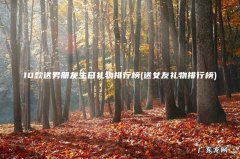 送女友礼物排行榜 10款送男朋友生日礼物排行榜