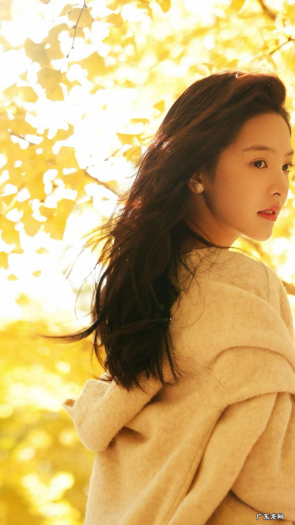 刮痧、拔罐、推拿和艾灸如何组合应用呢？