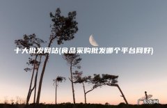 食品采购批发哪个平台网好 十大批发网站