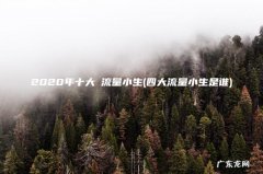 四大流量小生是谁 2020年十大強流量小生