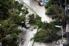 最大的台风 中国历史上强台风排行