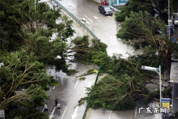 最大的台风 中国历史上强台风排行