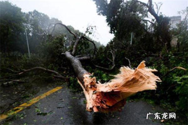 世界台风排名 世界上强台风排名