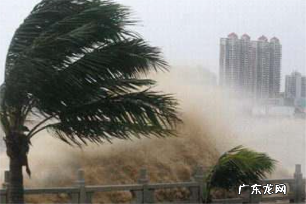 世界台风排名 世界上强台风排名