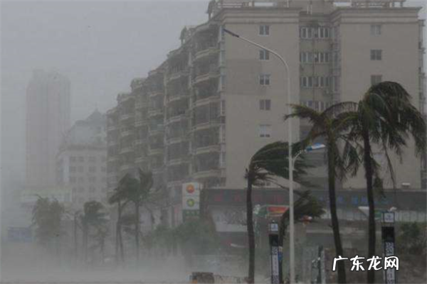 世界台风排名 世界上强台风排名