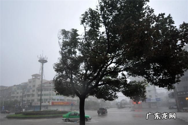 全球公认的十大恐怖片 十大恐怖台风排名