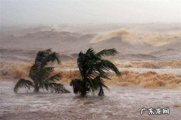 全球公认的十大恐怖片 十大恐怖台风排名