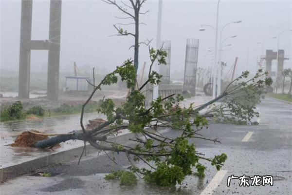 全球公认的十大恐怖片 十大恐怖台风排名