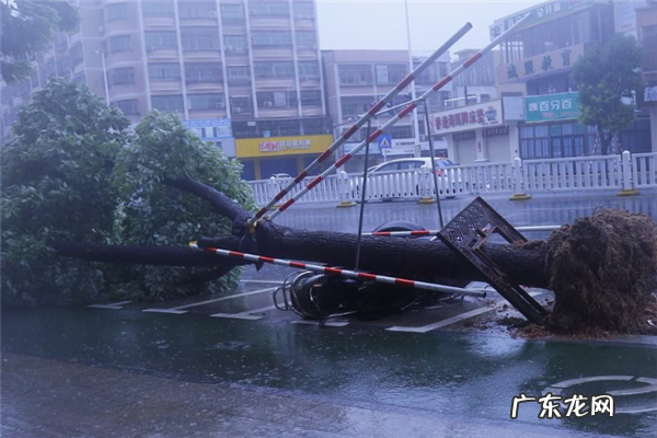 台风排名表 十大破坏性大的台风排名