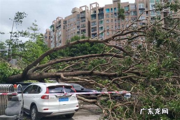 台风排名表 十大破坏性大的台风排名